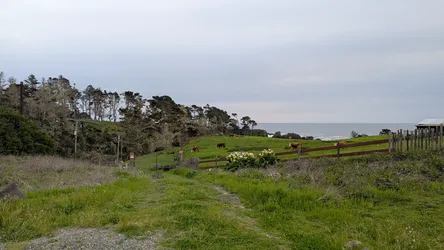 Cover image for 2025-03-29 Fort Bragg.